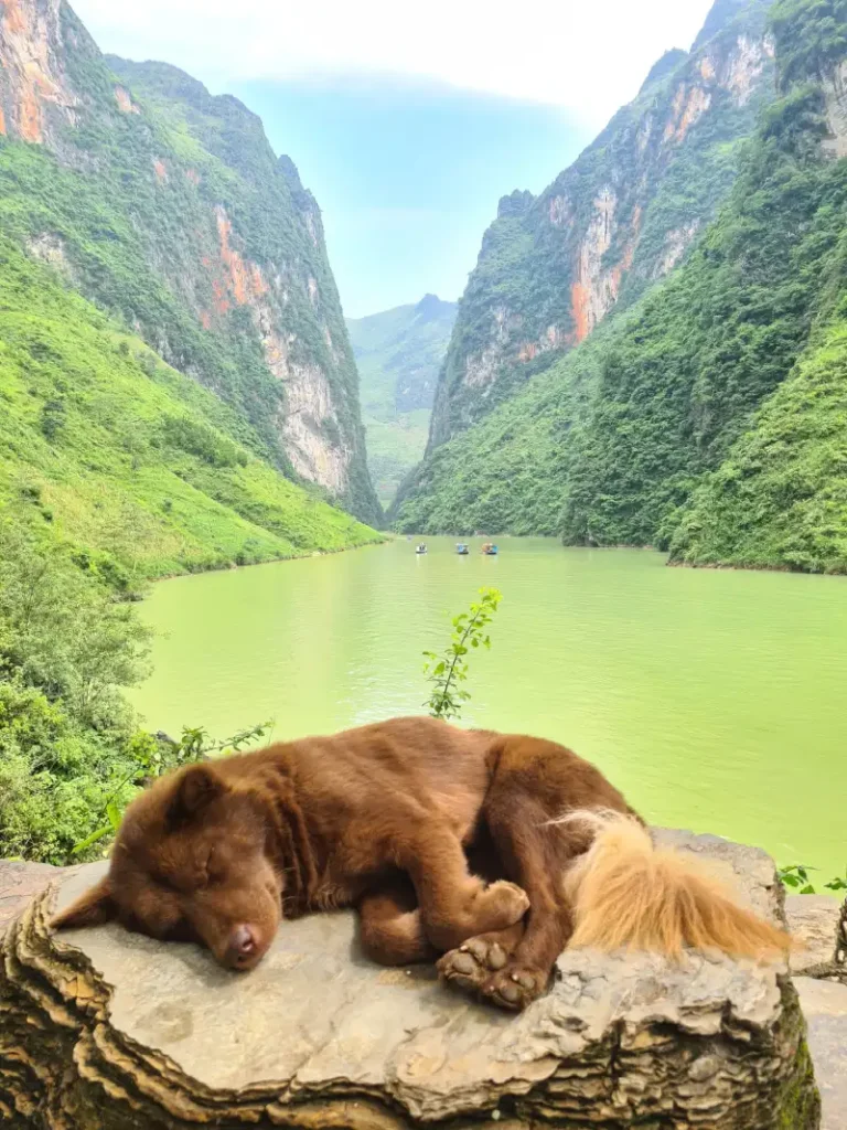 Nho Que Rivier en Tu San Canyon - Ha Giang Loop