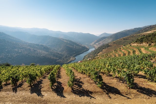 Douro, Portugal