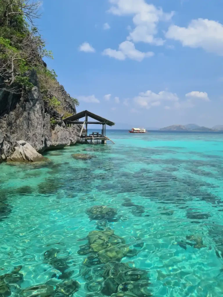 Reef Garden tour B coron