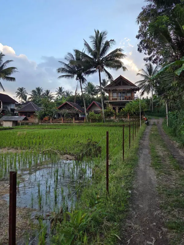 Novia Guest House Tetebatu