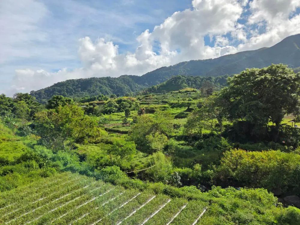 Panorama walk Tetebatu