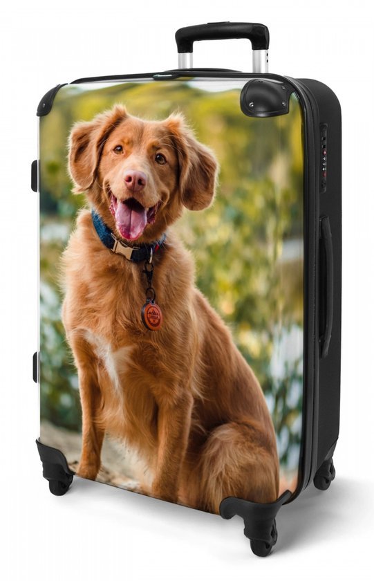 NoBoringSuitcases.com reiskoffer huisdier